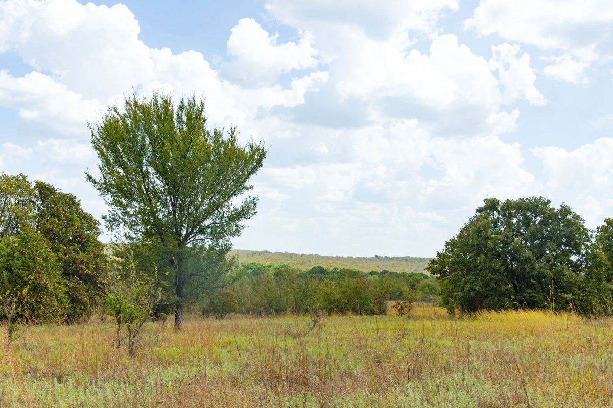 Decorative background for Gracyn Meadows Tract 9 image 11