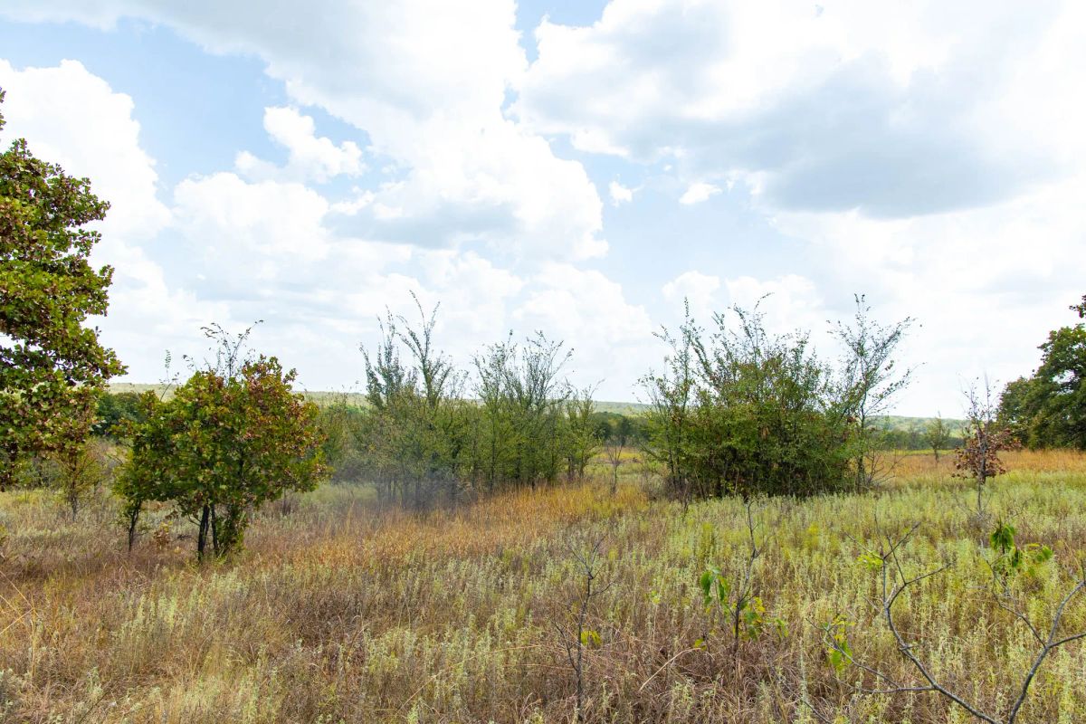 Decorative background for Gracyn Meadows Tract 9 image 13