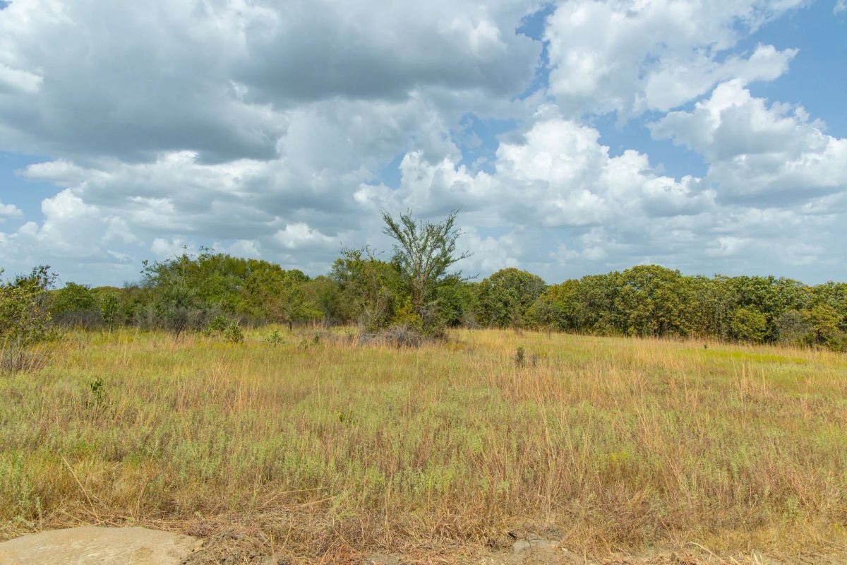 Decorative background for Gracyn Meadows Tract 9 image 14