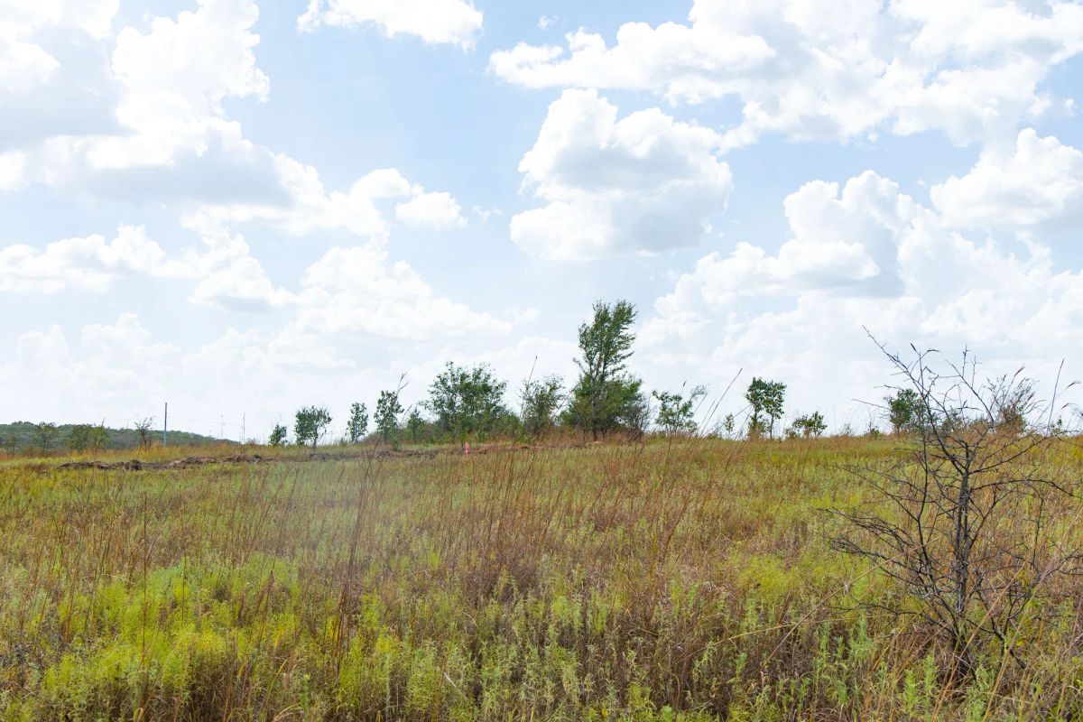 Decorative background for Gracyn Meadows Tract 9 image 15