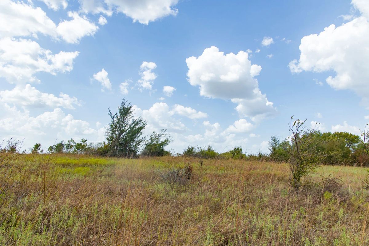 Decorative background for Gracyn Meadows Tract 9 image 16