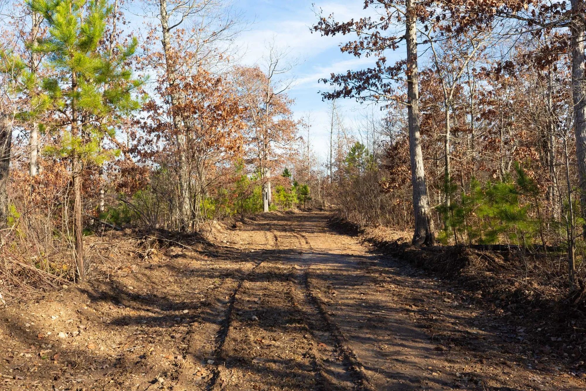 Windy Ridge Tract 11 in Texas County, MO