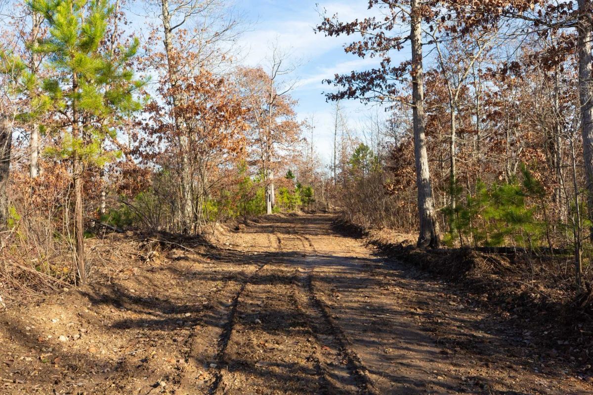 Windy Ridge Tract 11 - Main image