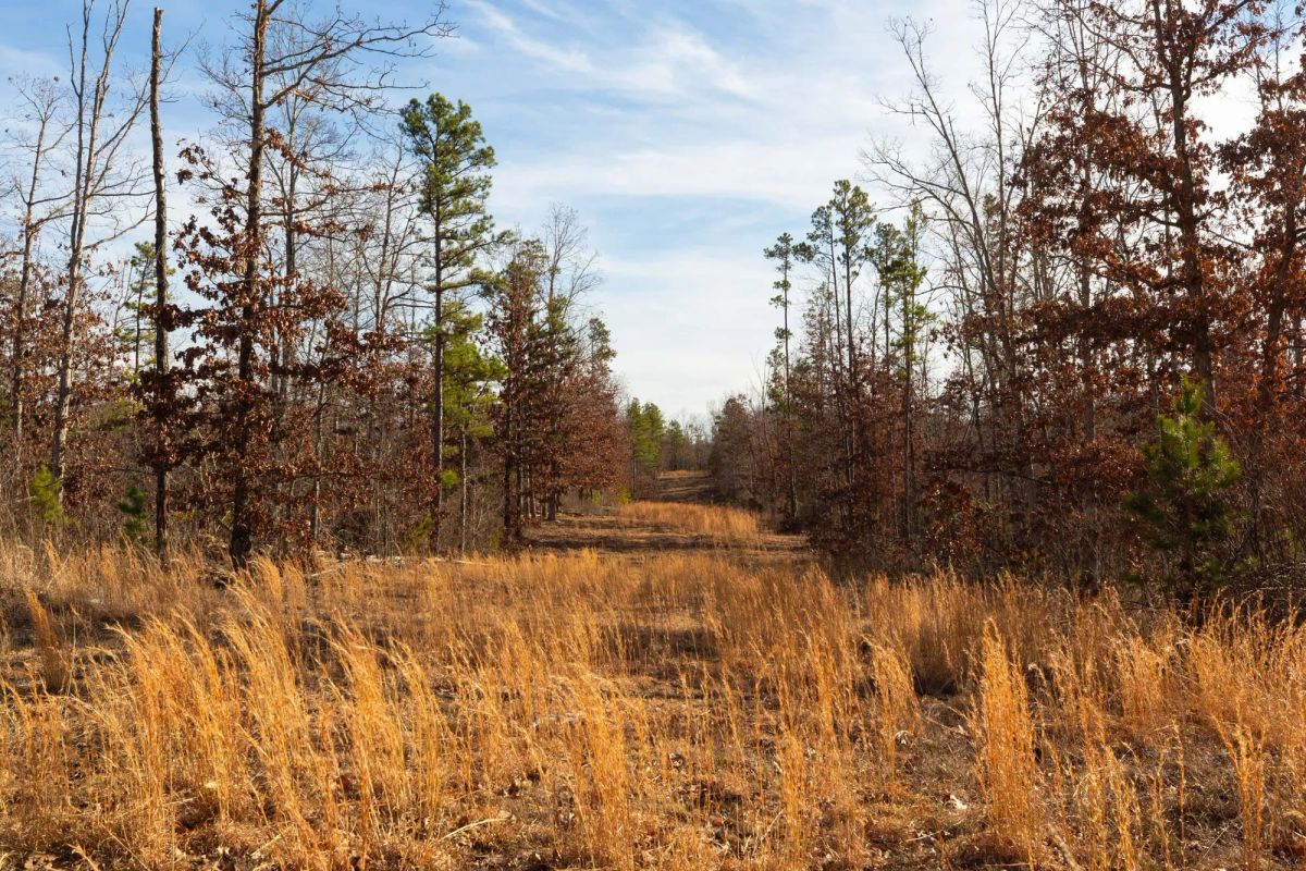 Windy Ridge Tract 11 - Image 2
