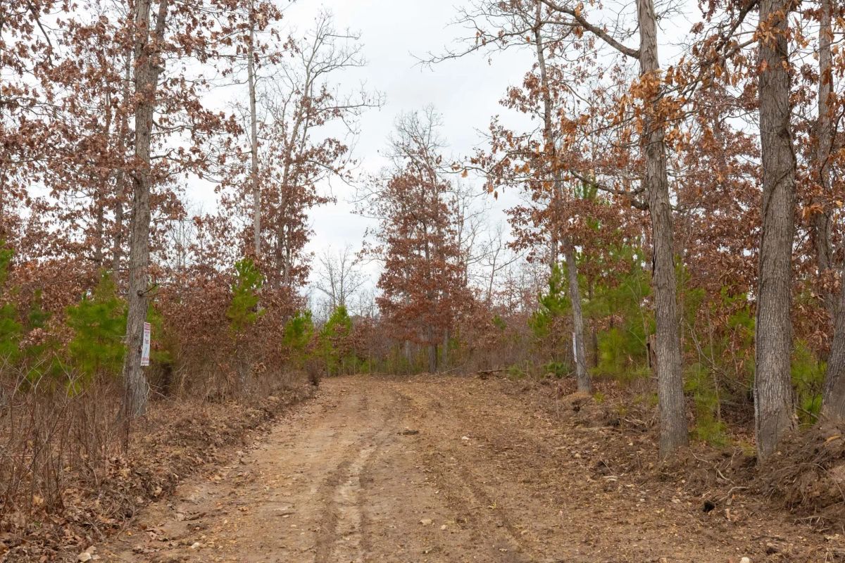 Decorative background for Windy Ridge Tract 11 image 15