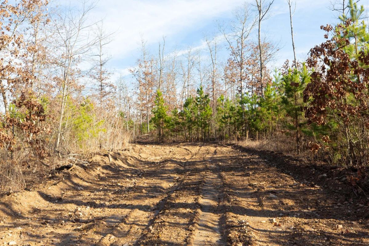 Decorative background for Windy Ridge Tract 11 image 25