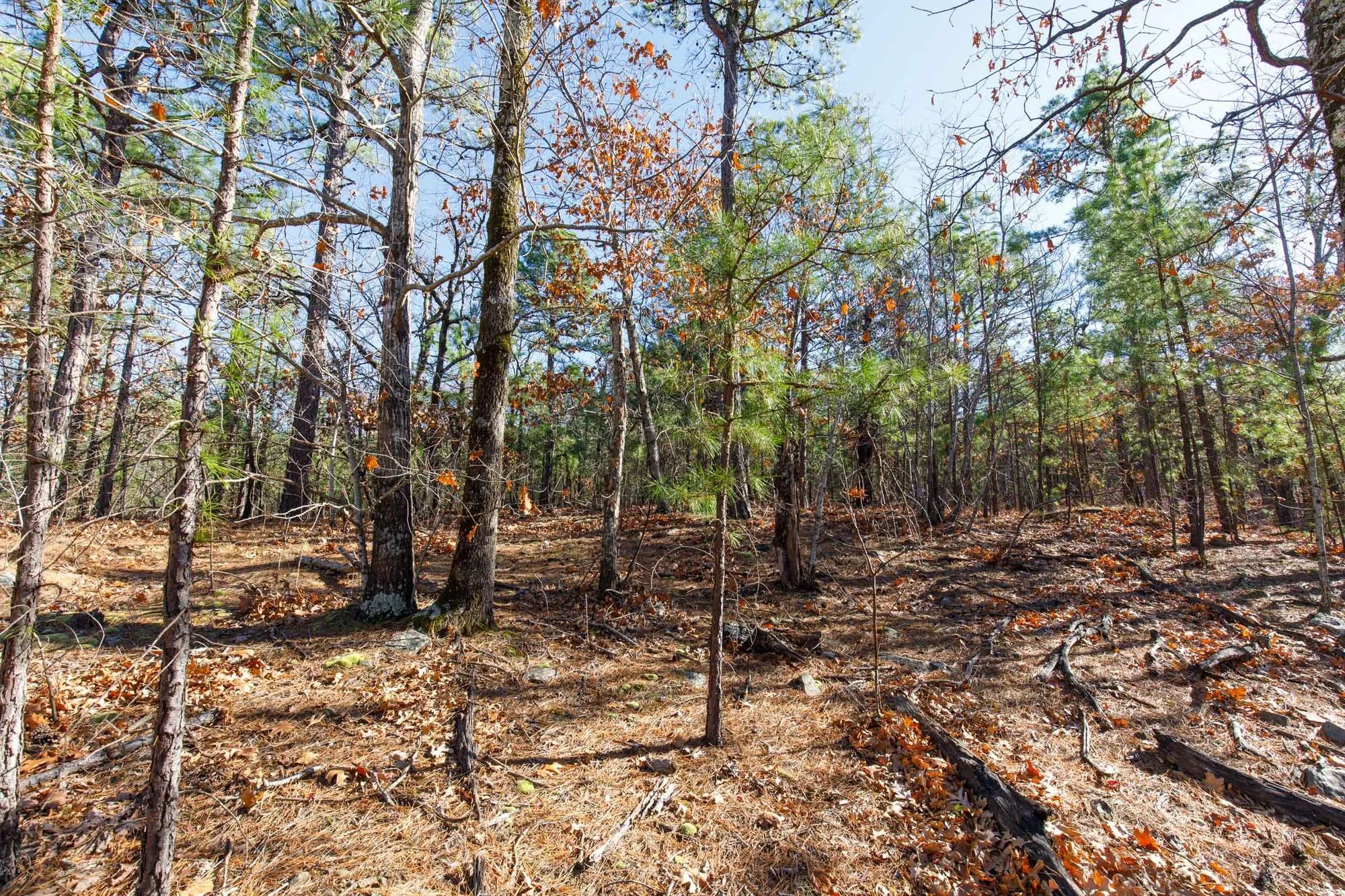 Stone Bridge Phase II Tract 128 in Latimer County, OK