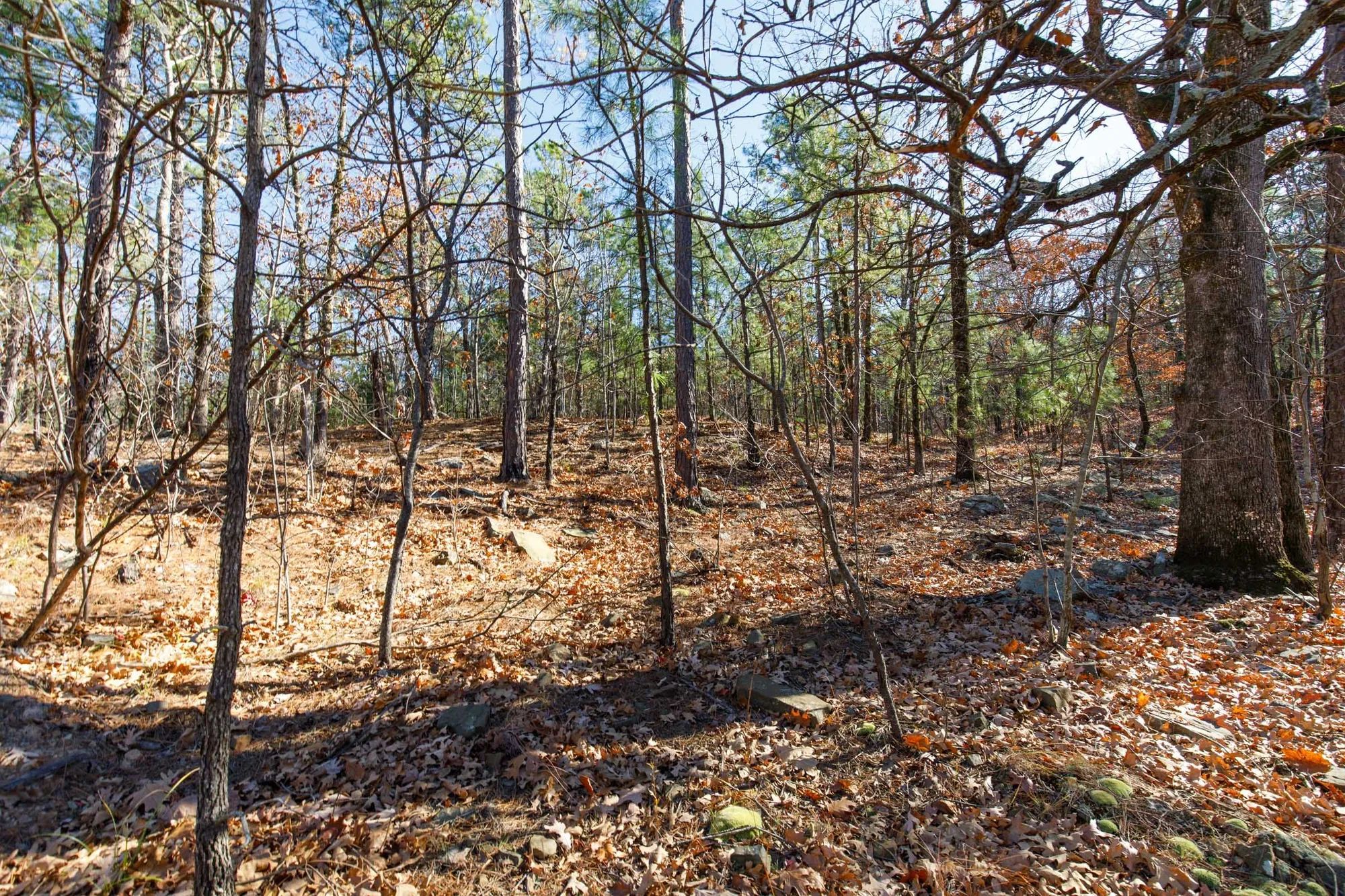 Stone Bridge Phase II Tract 128 in Latimer County, OK