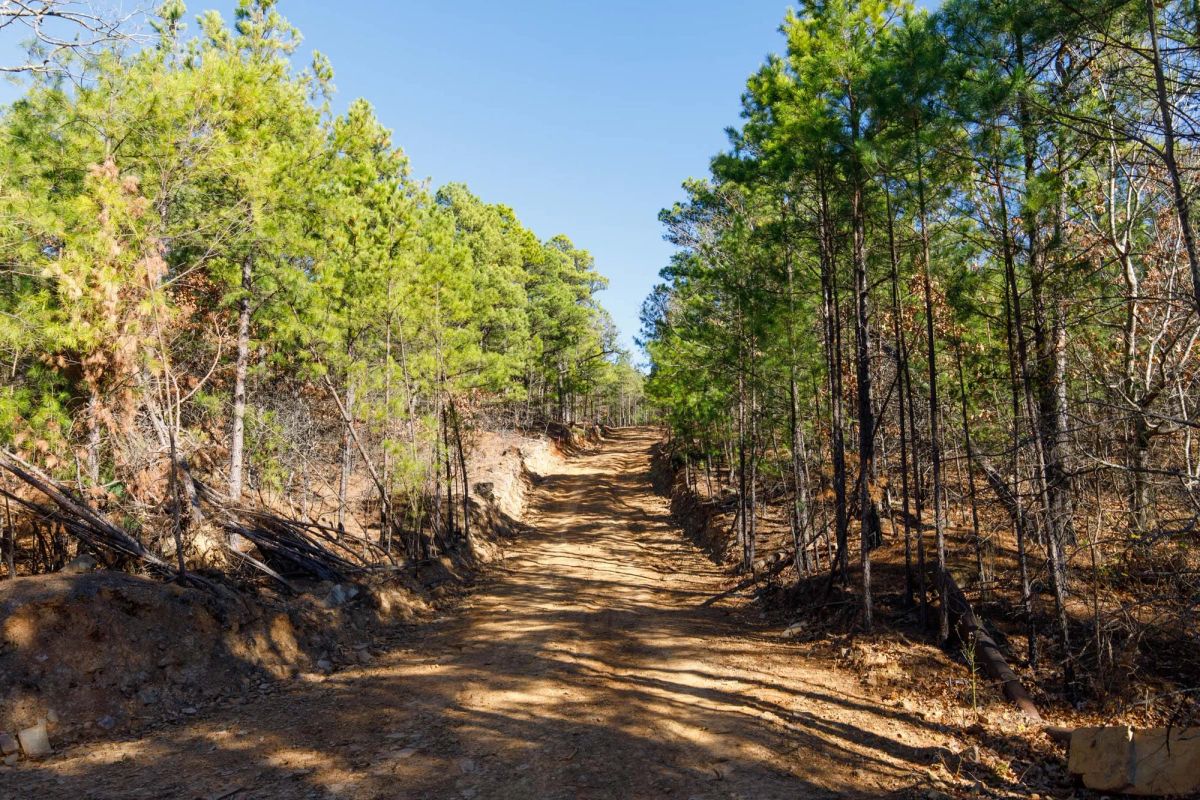Decorative background for Stone Bridge Phase II Tract 128 image 5