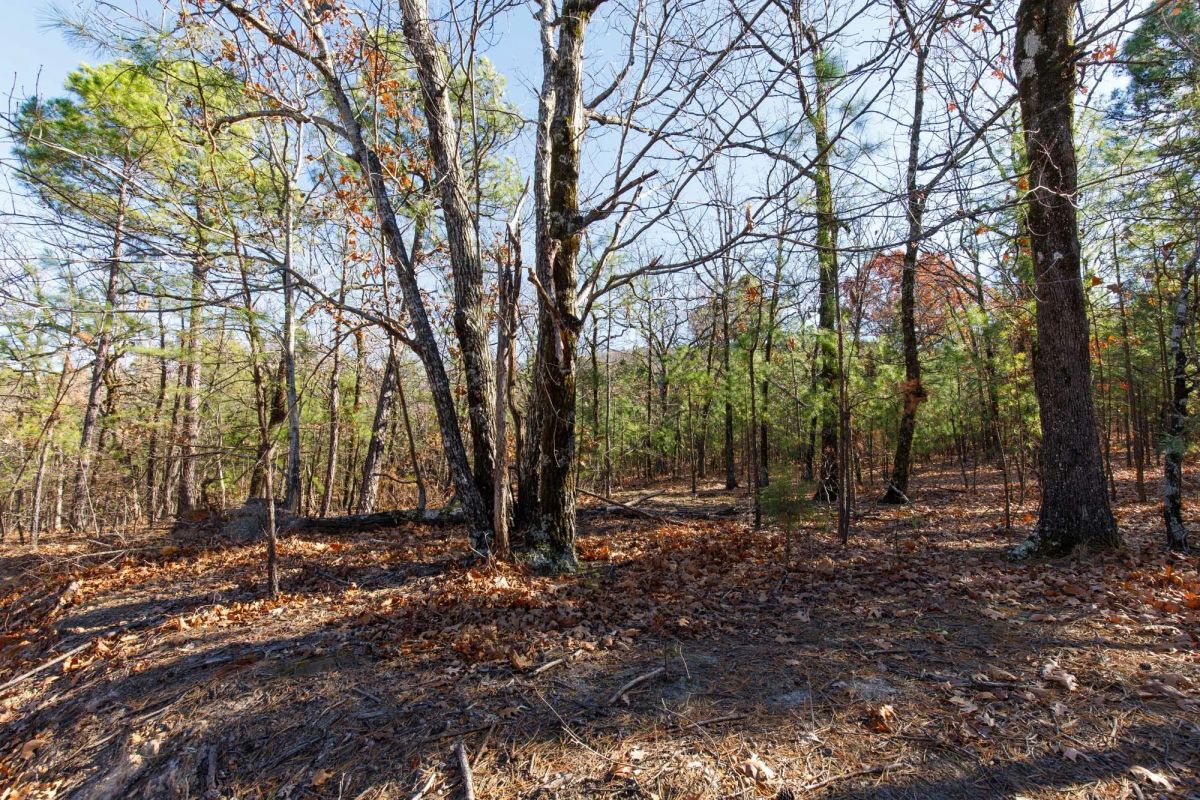 Decorative background for Stone Bridge Phase II Tract 128 image 6
