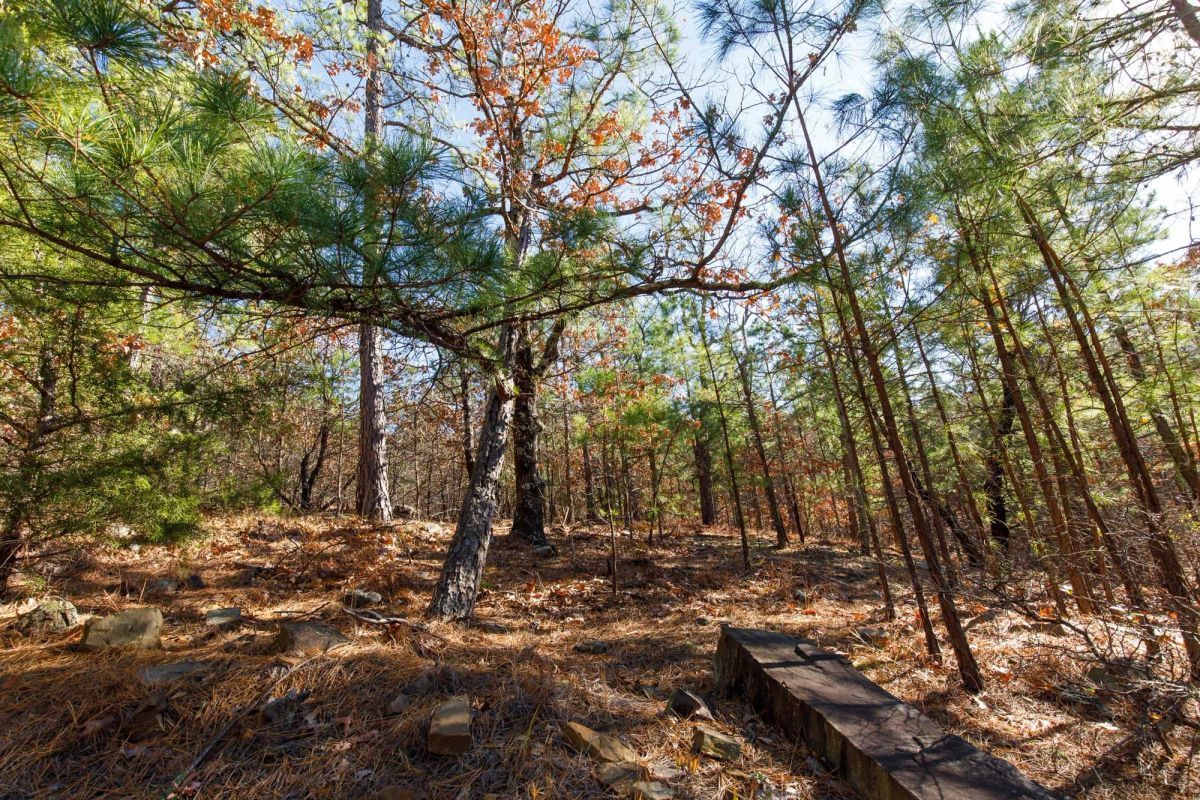 Decorative background for Stone Bridge Phase II Tract 128 image 7