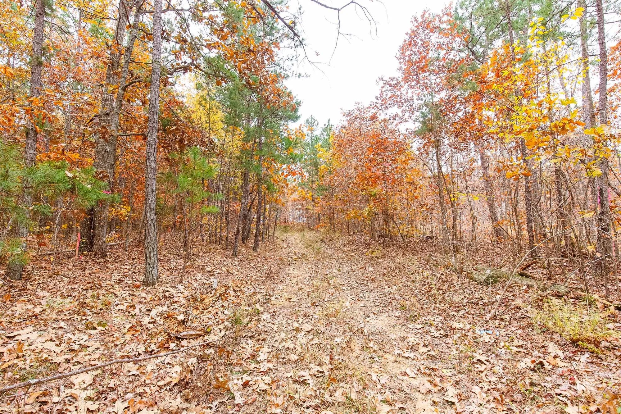 Hawkcrest Tract 6 in Reynolds County, MO