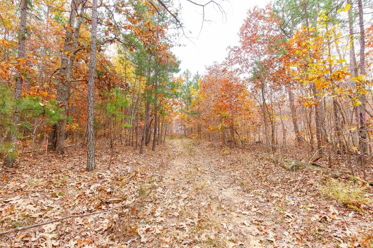 Hawkcrest Tract 6 - Main image