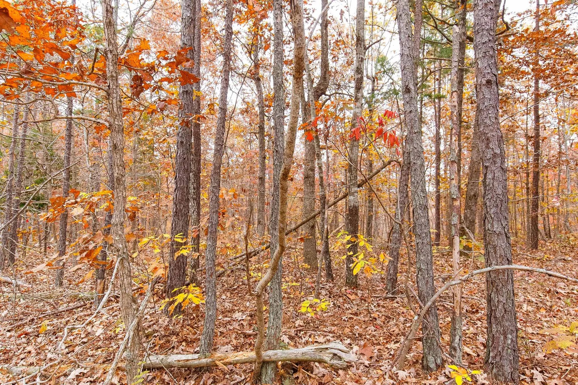 Hawkcrest Tract 6 in Reynolds County, MO
