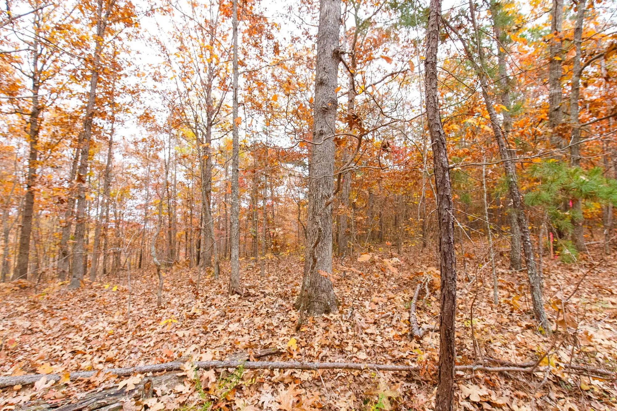 Hawkcrest Tract 6 in Reynolds County, MO