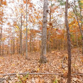 Hawkcrest Tract 6 in Reynolds County, MO