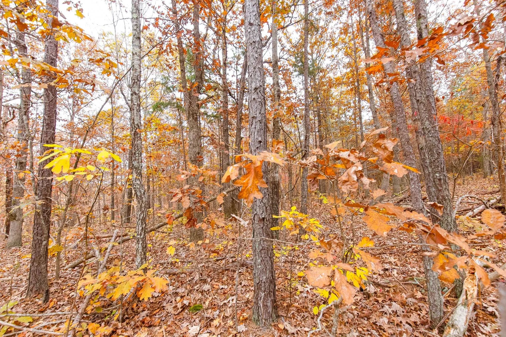 Hawkcrest Tract 6 in Reynolds County, MO