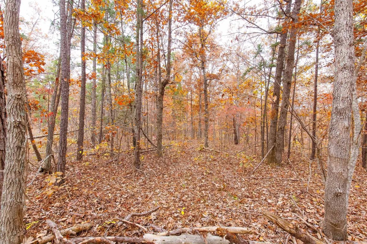 Decorative background for Hawkcrest Tract 6 image 5