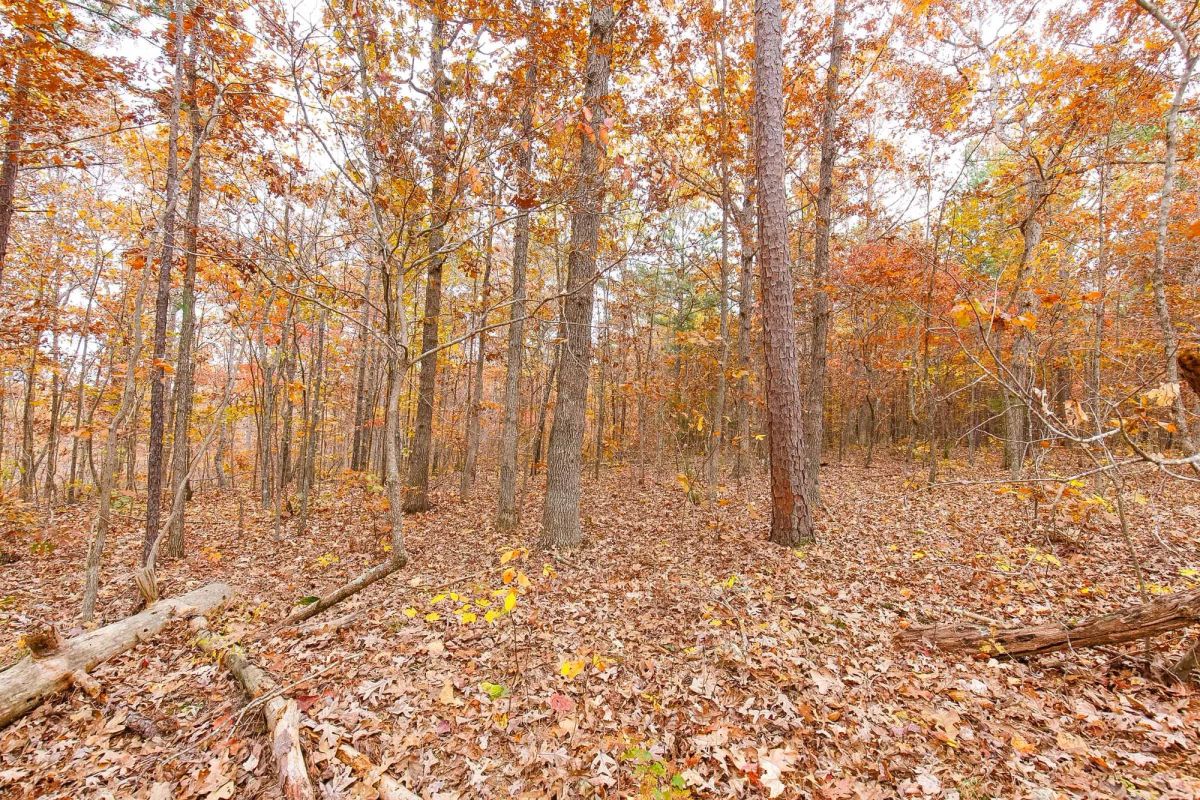 Decorative background for Hawkcrest Tract 6 image 6