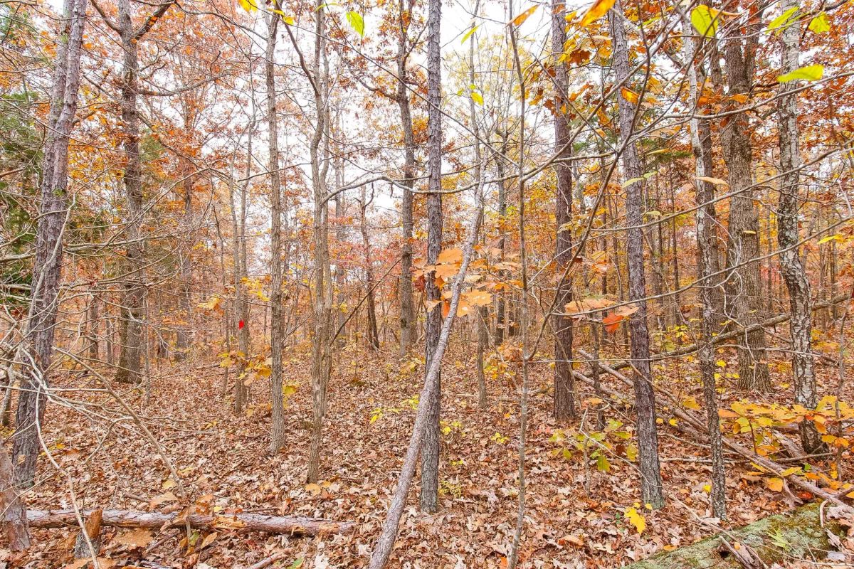 Decorative background for Hawkcrest Tract 6 image 7