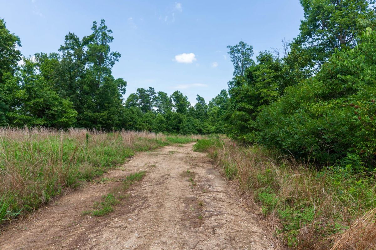 Cypress Ridge Tract 15 - Main image