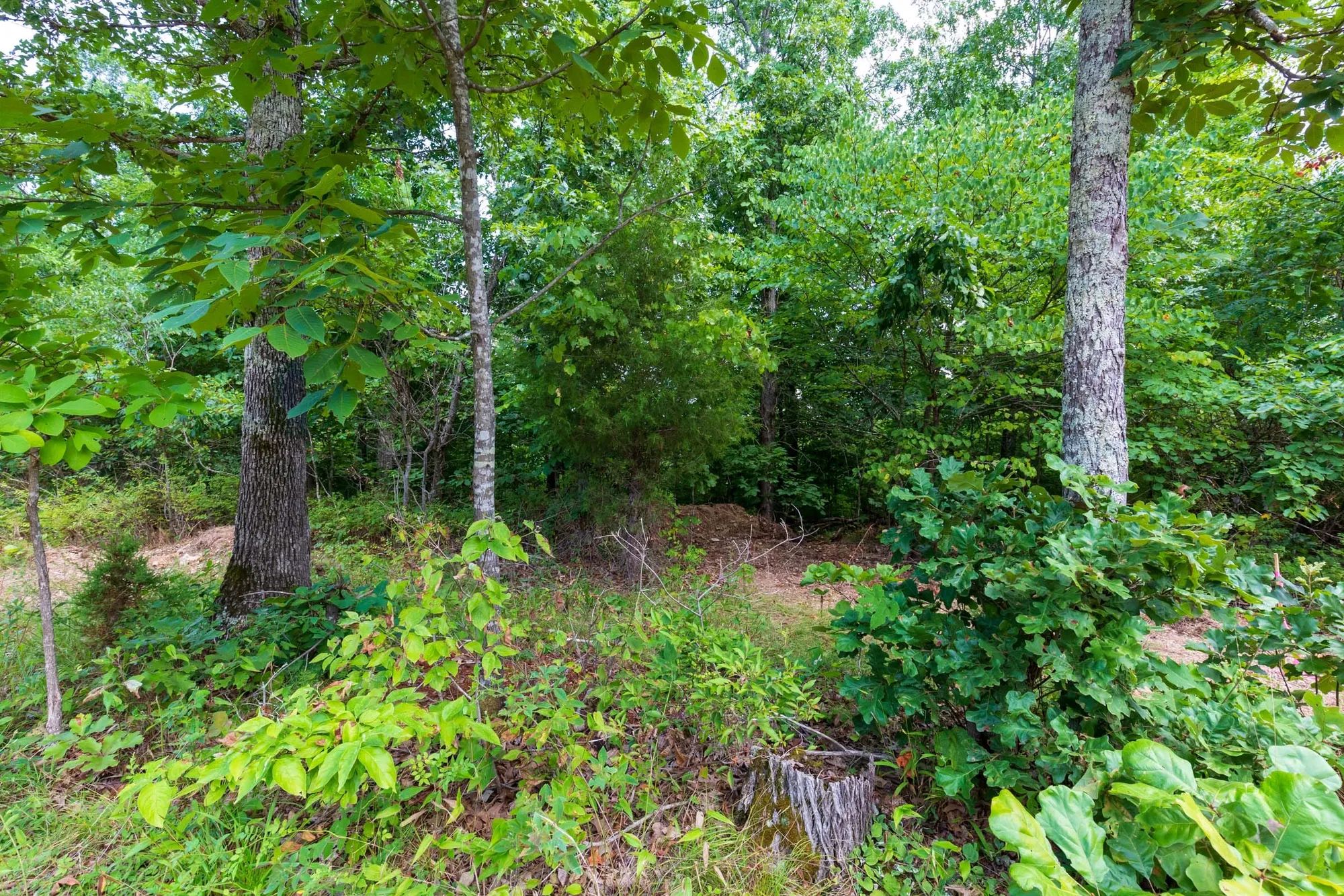 Cypress Ridge Tract 15 in Reynolds County, MO
