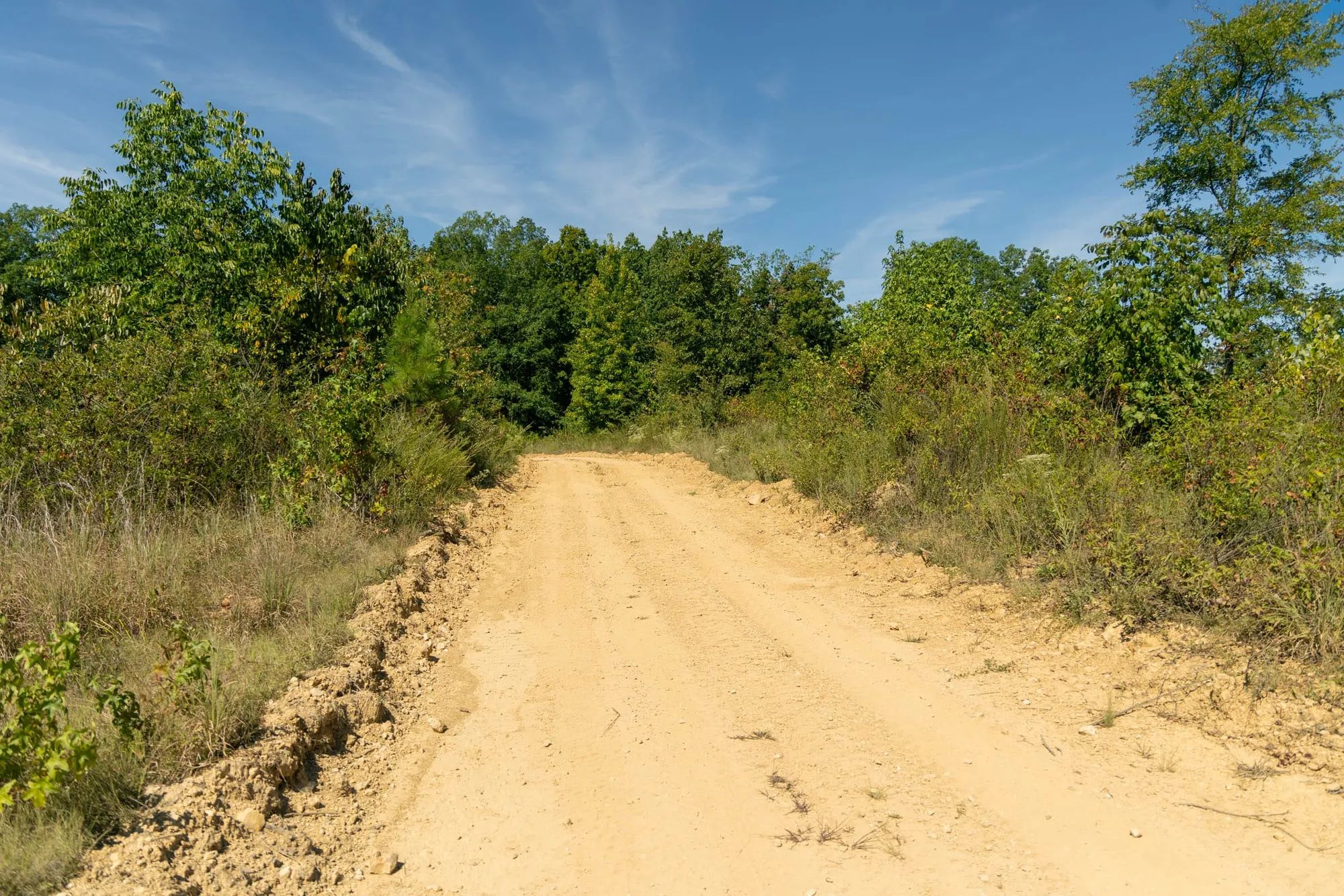 Big White Oak Tract 51 in Perry County, TN