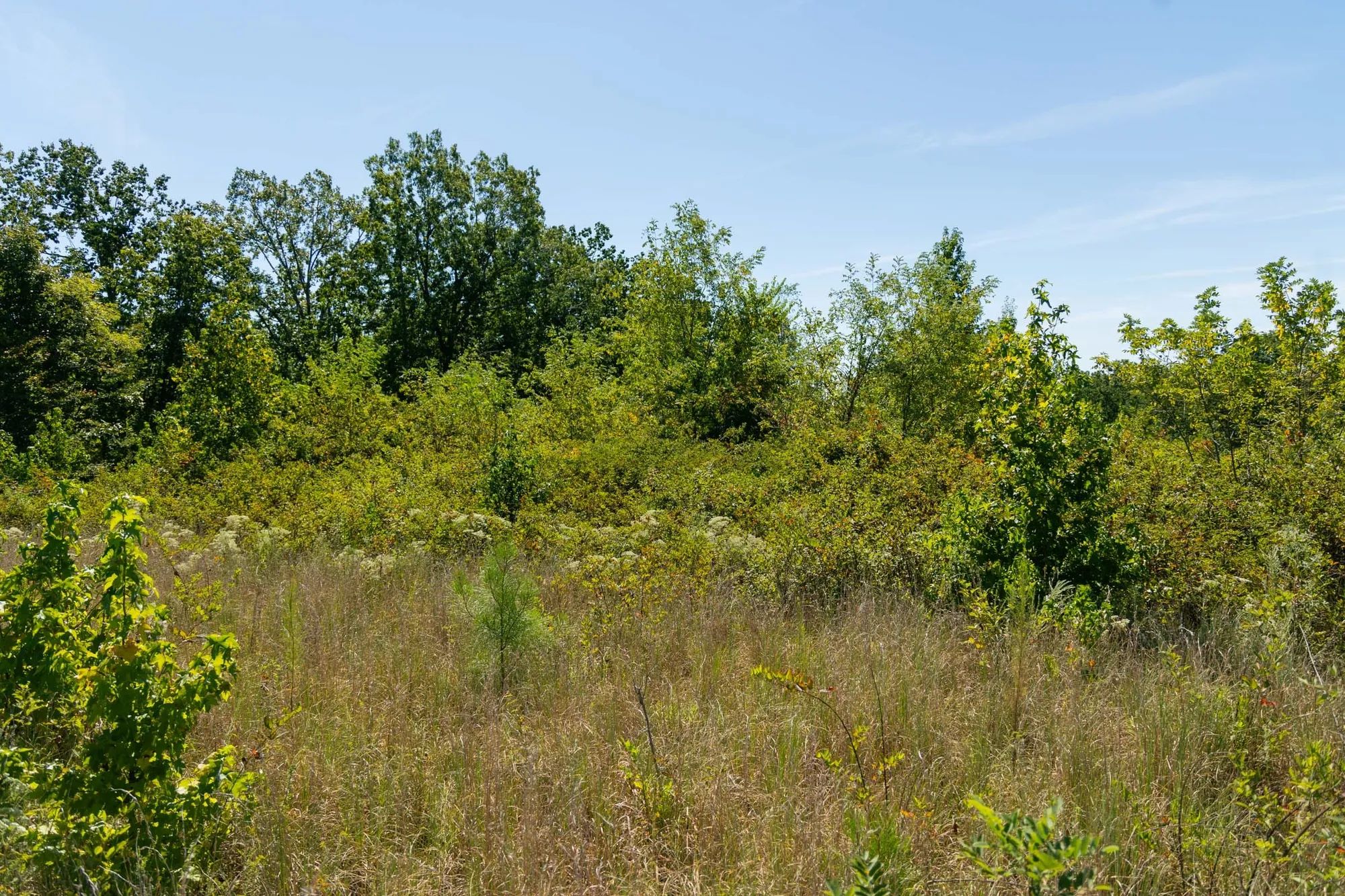 Big White Oak Tract 51 in Perry County, TN
