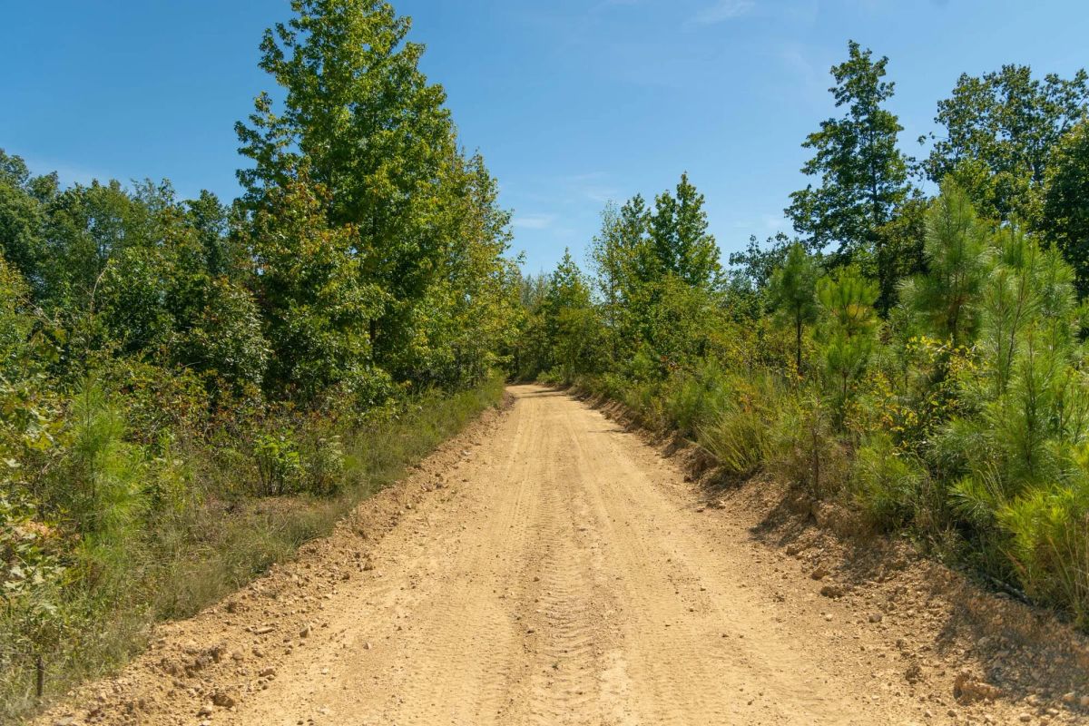 Decorative background for Big White Oak Tract 51 image 5