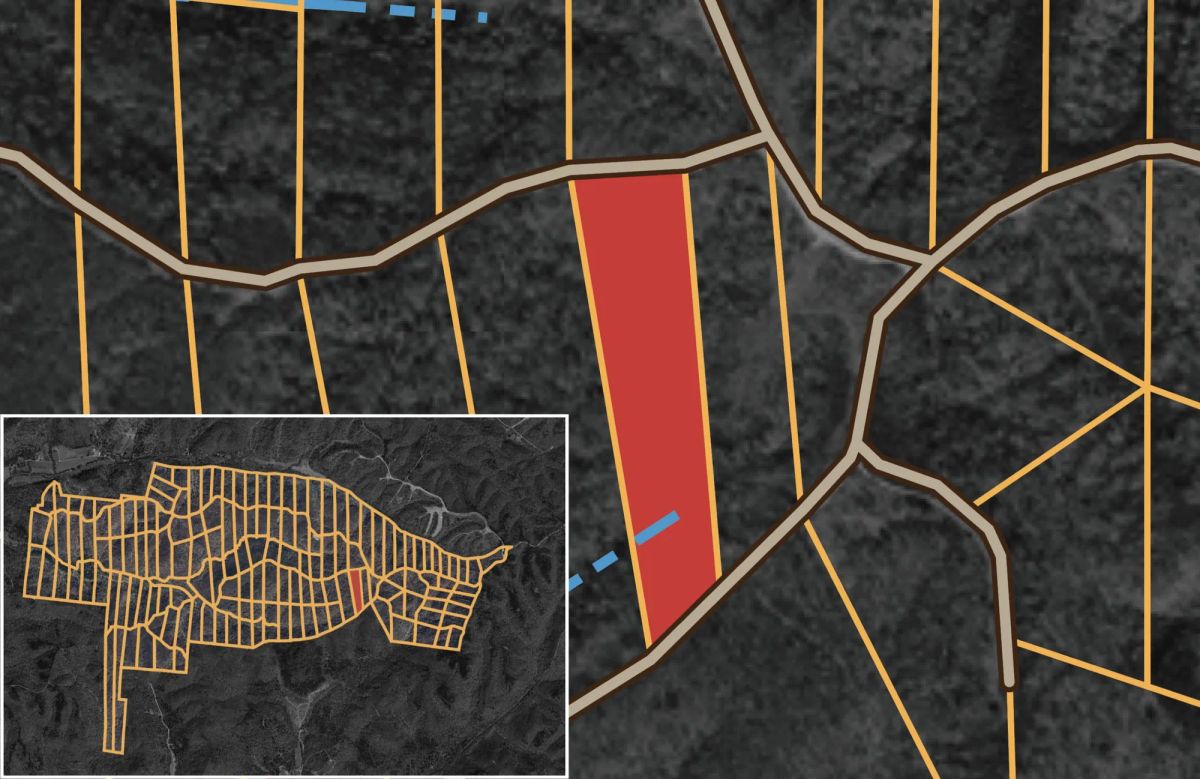 Decorative background for Big White Oak Tract 51 image 9