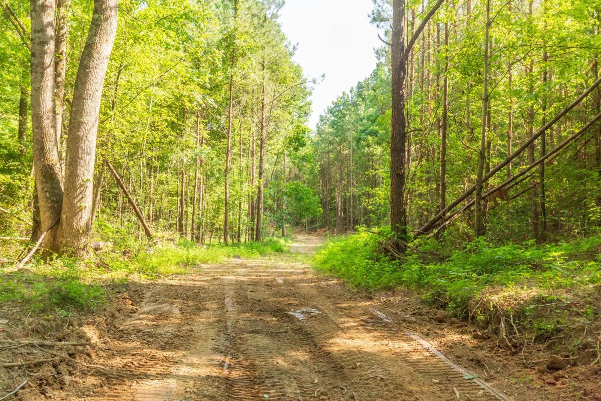 Whiskey Ridge Tract 91 - Main image