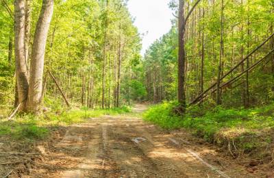 Whiskey Ridge Tract 91