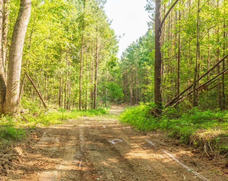 Whiskey Ridge Tract 91 in Henderson County, TN