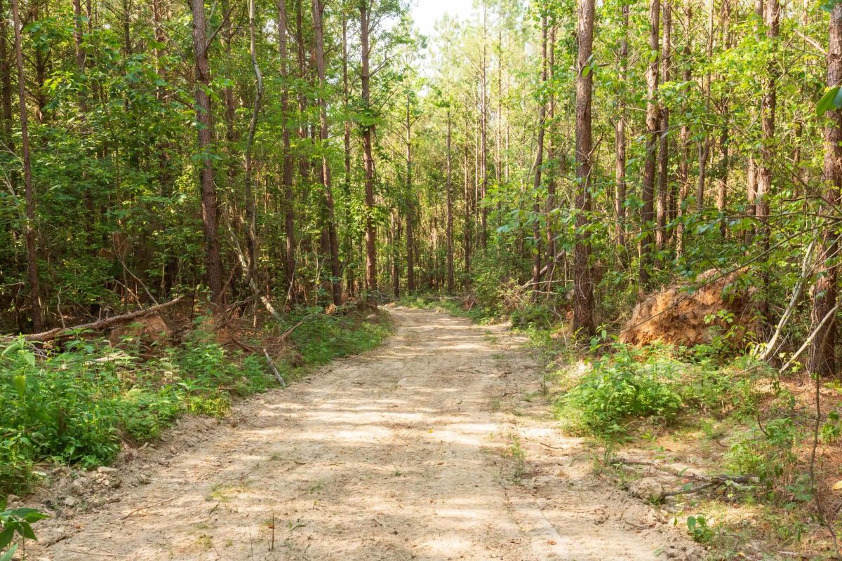Decorative background for Whiskey Ridge Tract 91 image 6
