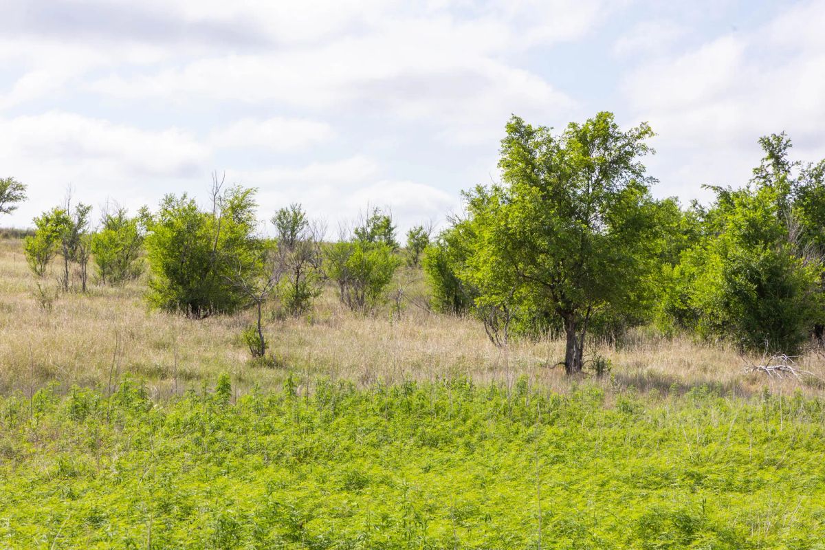 Crandall's Corner Tract 7 - Image 2