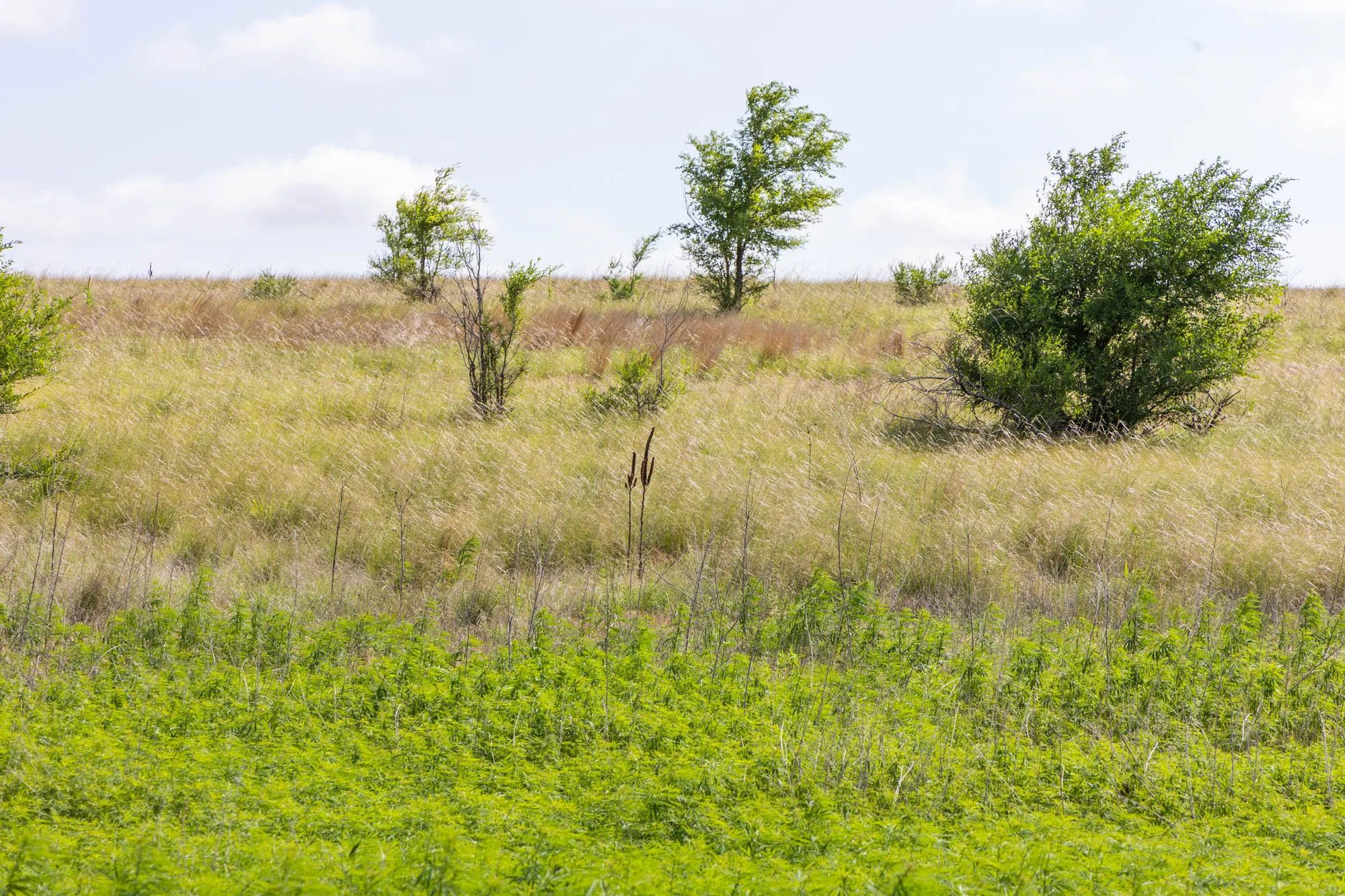 Crandall's Corner Tract 7 in Graham County, KS