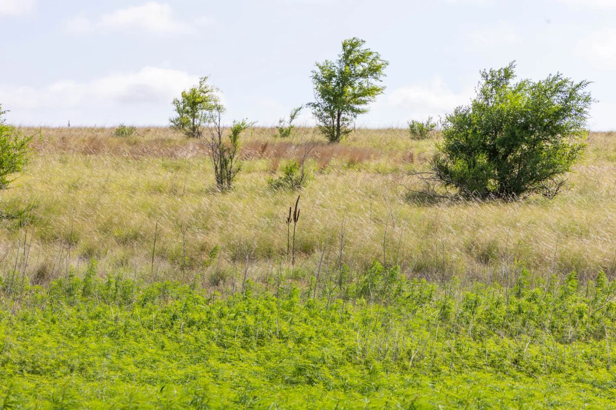 Crandall's Corner Tract 7 - Image 3