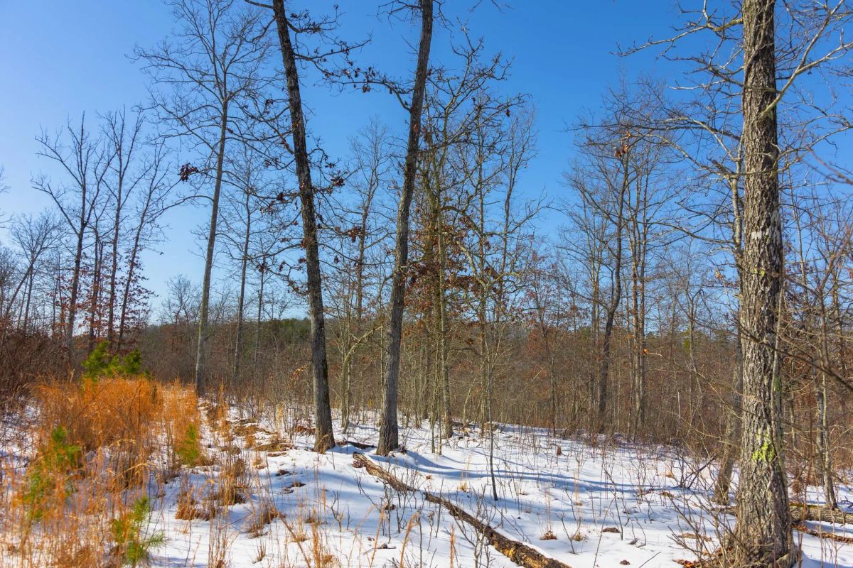 Sleepy Hollow Phase I Tract 2 - Main image