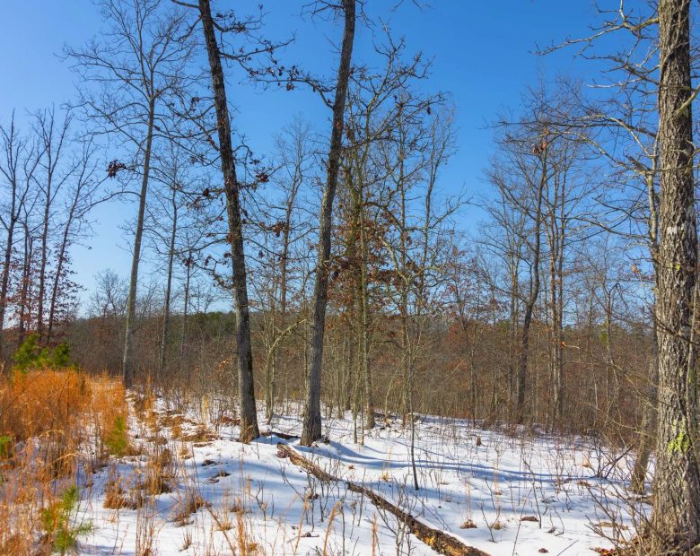 Sleepy Hollow Phase I Tract 2 in Texas County, MO