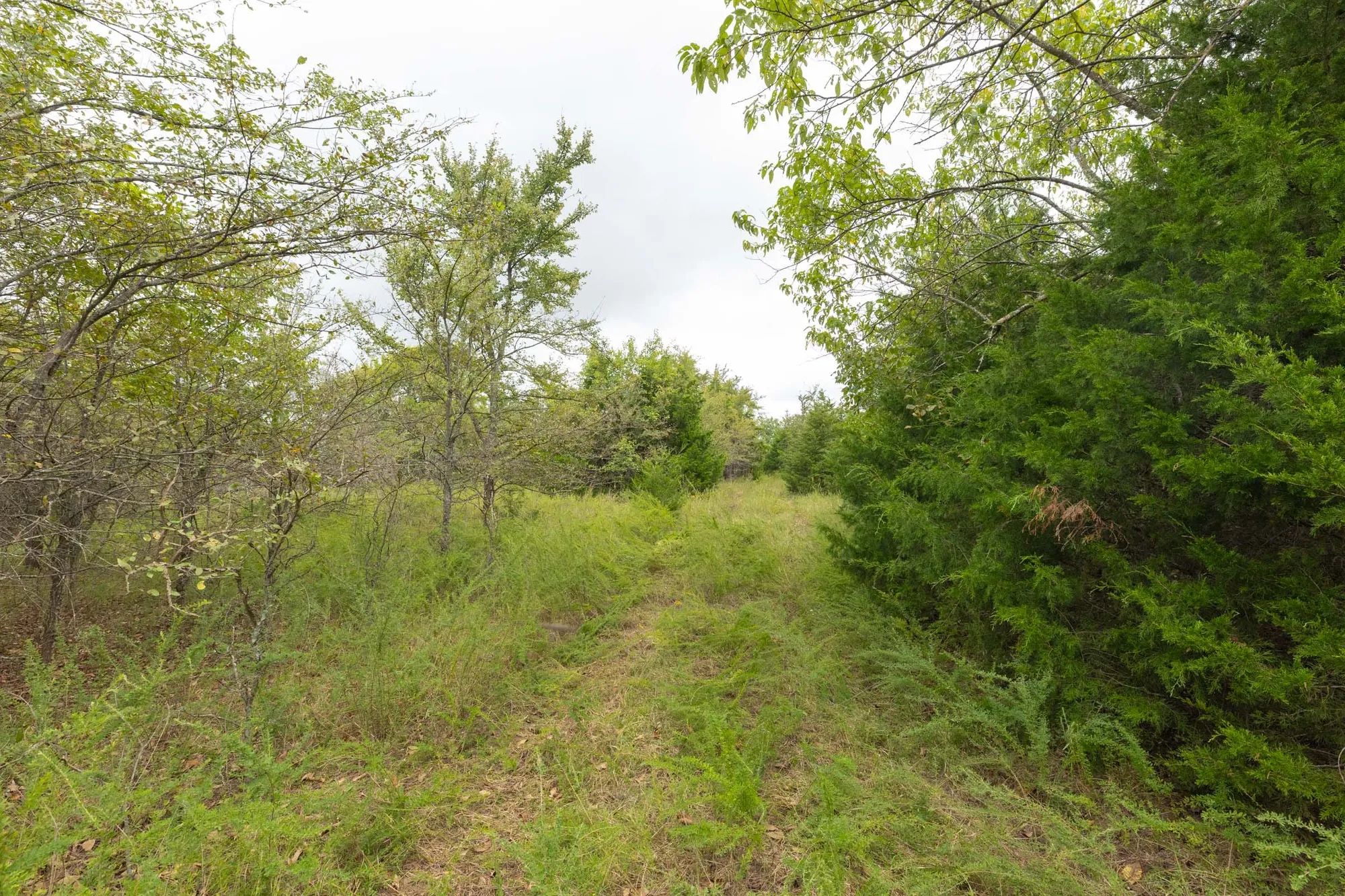 Reserves At Cattail Cove Phase II Tract 81 in Pittsburg County, OK