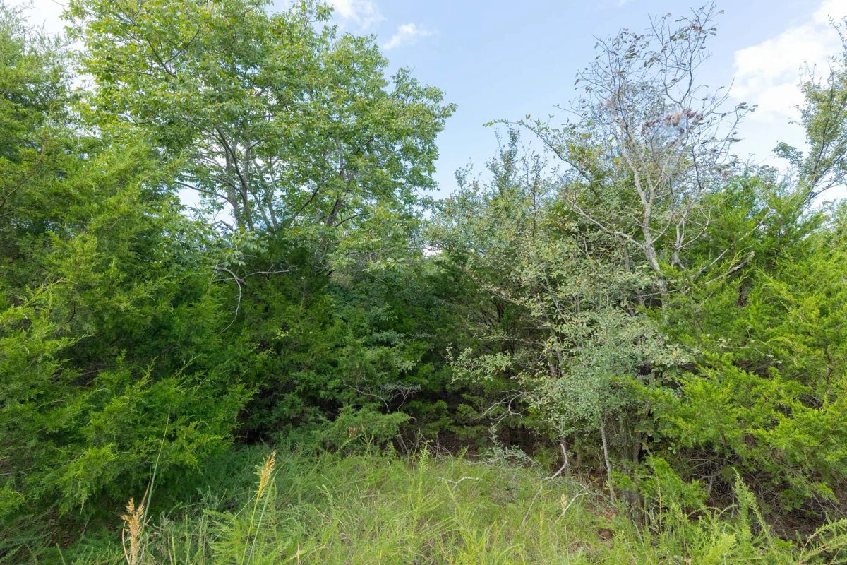 Decorative background for Reserves At Cattail Cove Phase II Tract 81 image 6