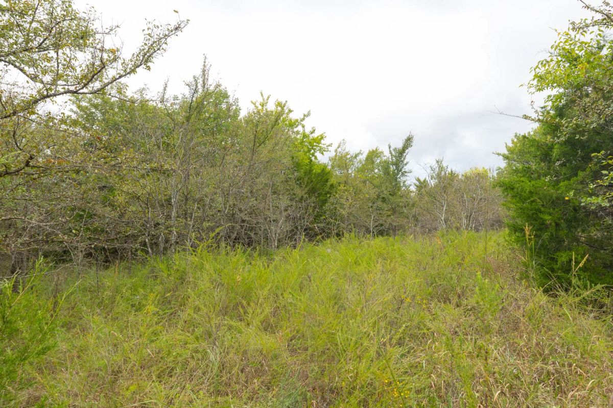 Decorative background for Reserves At Cattail Cove Phase II Tract 81 image 11