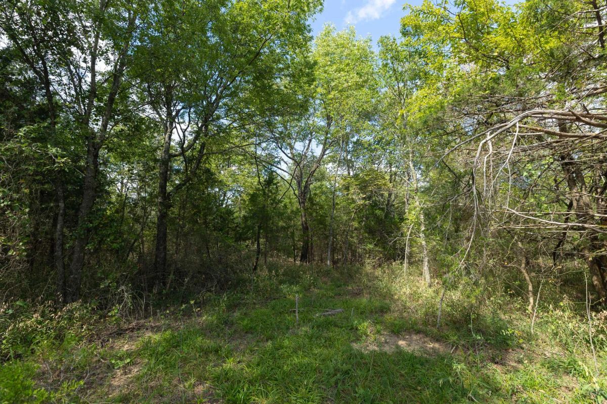 Decorative background for Reserves At Cattail Cove Phase II Tract 81 image 14