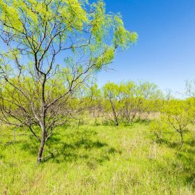 Hackberry Fields Tract 23 in Greer County, OK