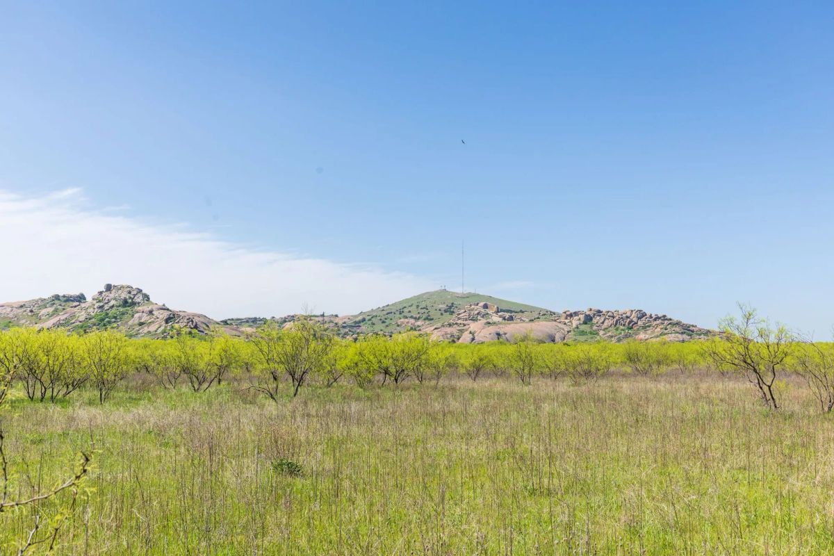 Decorative background for Hackberry Fields Tract 23 image 5