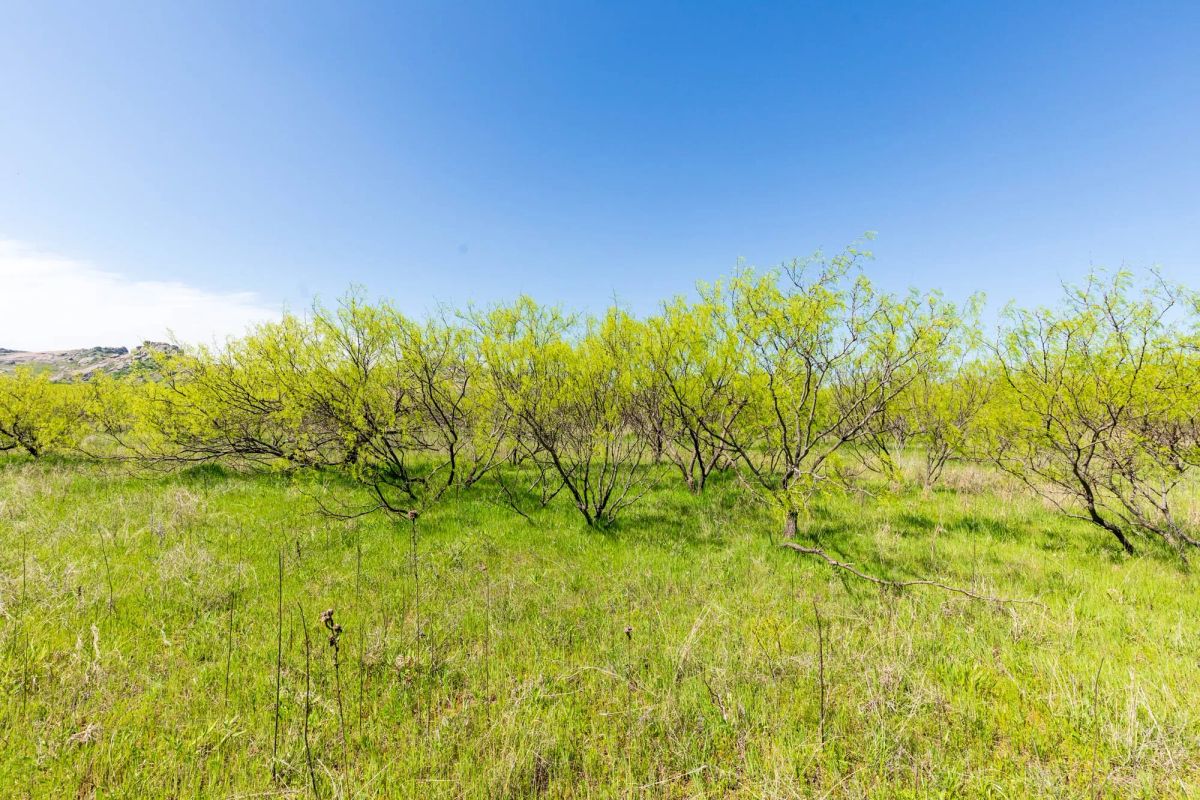 Decorative background for Hackberry Fields Tract 23 image 6