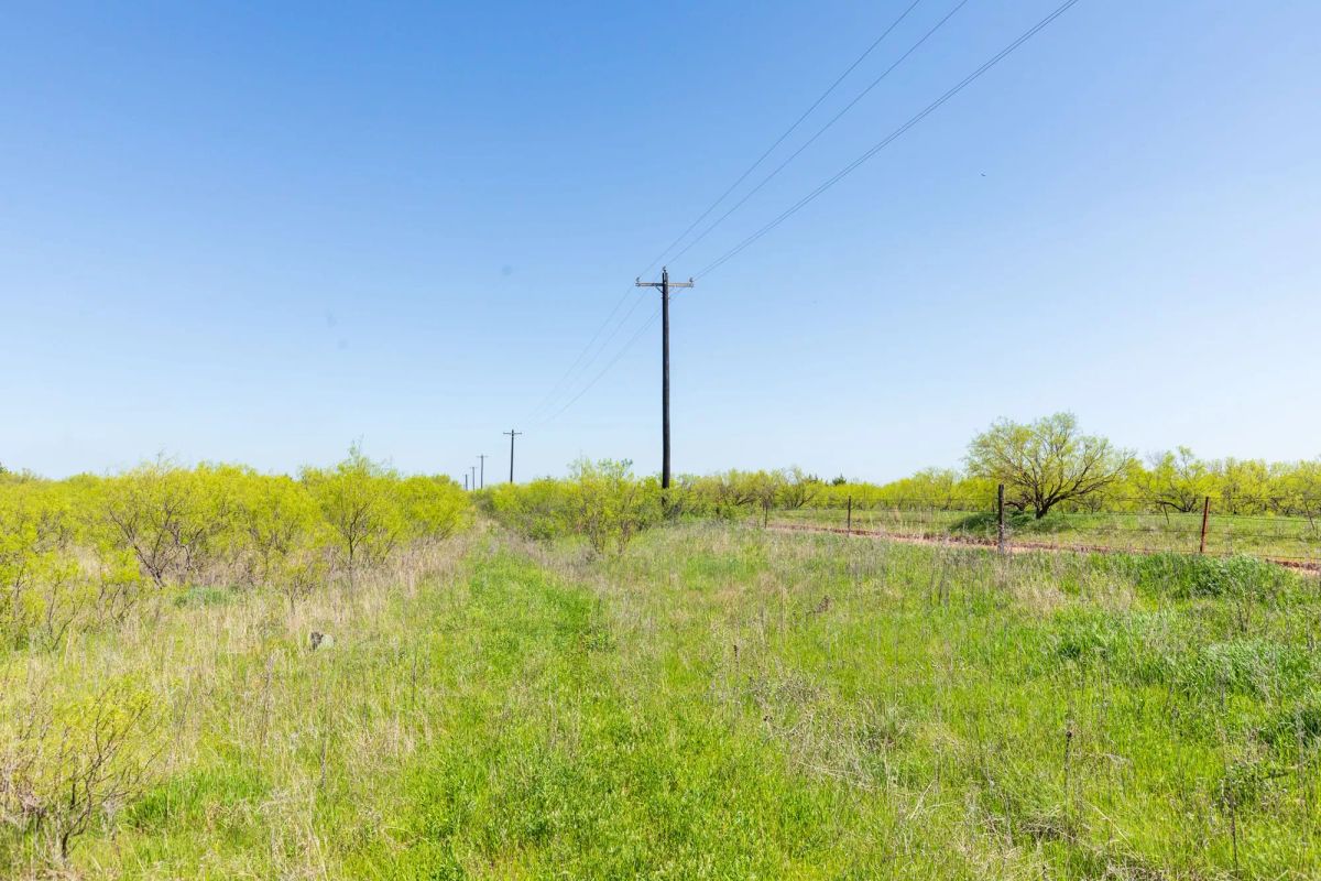 Decorative background for Hackberry Fields Tract 23 image 7