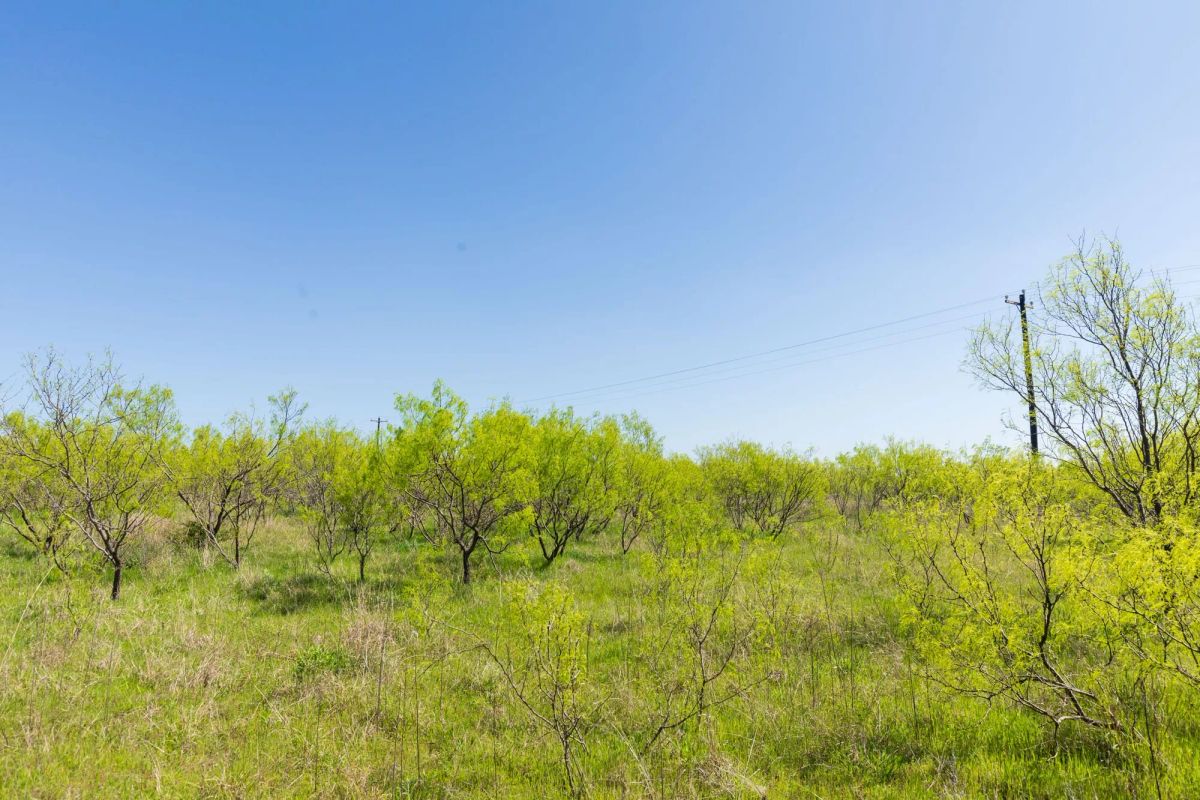 Decorative background for Hackberry Fields Tract 23 image 8