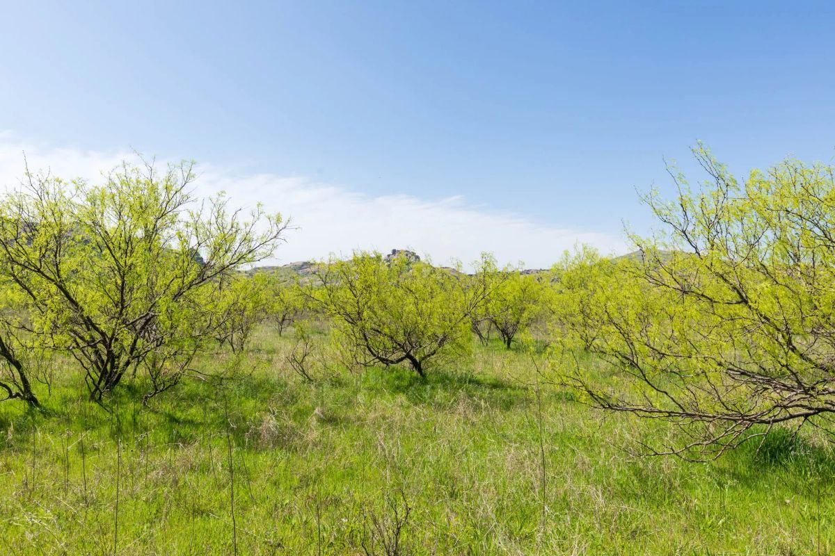 Decorative background for Hackberry Fields Tract 23 image 10