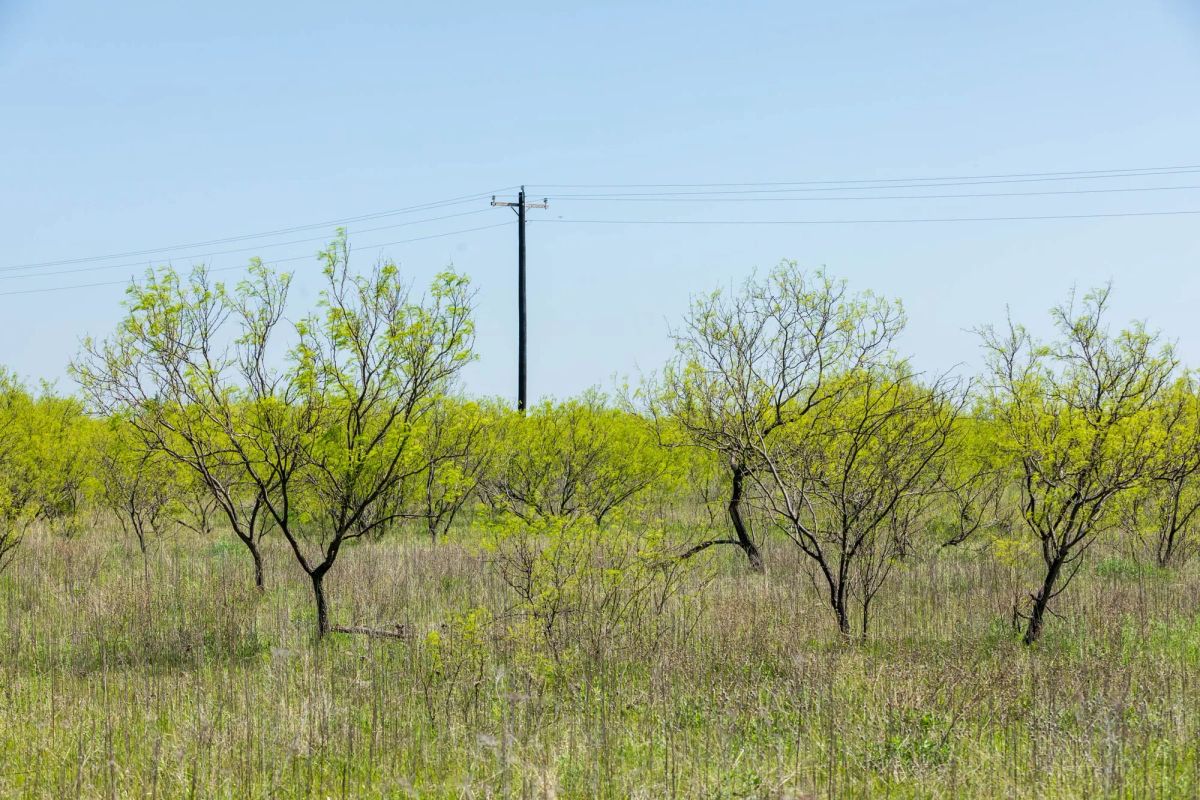 Decorative background for Hackberry Fields Tract 23 image 11